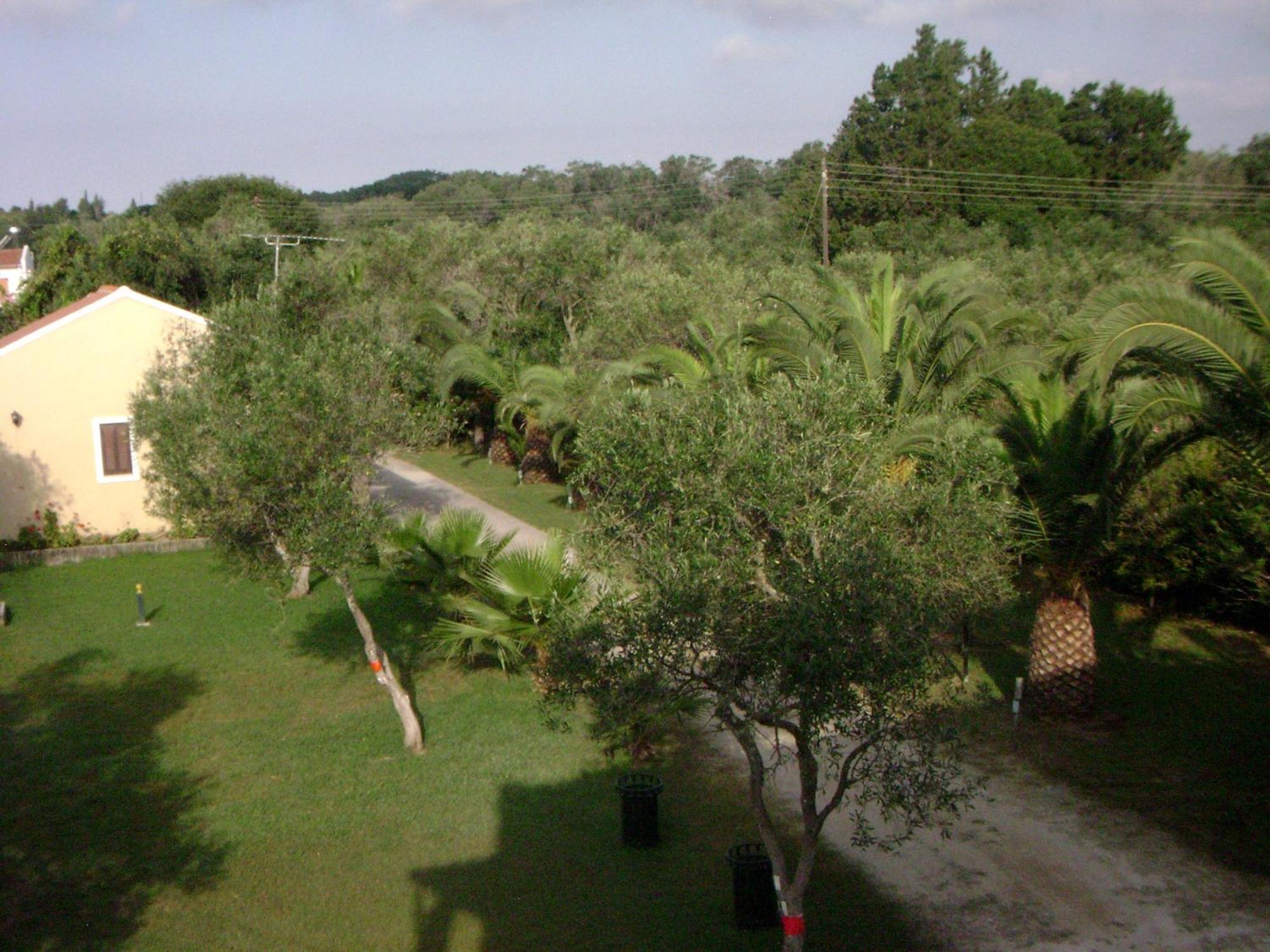 Irini Apartments And Studios Kavos Exterior photo